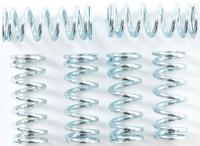 TRW Clutch spring kit mef101-6