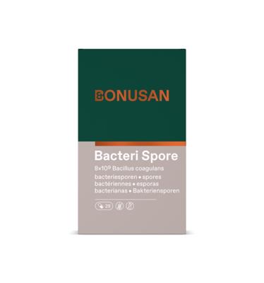 Bacteri spore