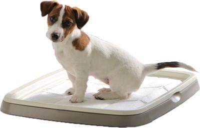 Savic puppy trainer starterkit medium - Gebr de boon