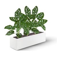 Monstera Adonsonii kunstplant 40cm in pot