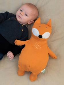 Grote pluche knuffel - TRIXIE sinaasappel