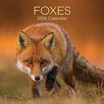 Vossen Kalender 2026