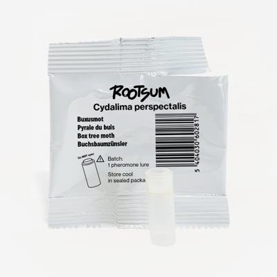 BUXUSMOT FEROMOON | Cydalima perspectalis