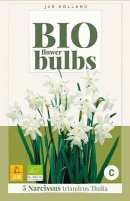Bio narcis triandrus thalia 5 bollen