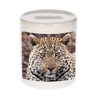 Foto jaguar spaarpot 9 cm - Cadeau jaguars liefhebber - Spaarpotten