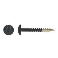 pgb-Europe PGB-FASTENERS | HPL schroef Tx20 4,8x38 R9011 A4 - TRESP0A00038090113