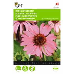 2 stuks Echinacea purpurea roodbloeiend