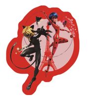 Zagtoon kussen Lady Bug meisjes 36 cm polyester rood - thumbnail