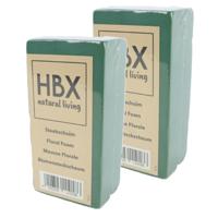 HBX Natural Living Oase steekschuim - 2x - groen - 20 x 10 x 7,5 cm - foam blokken - rechthoek