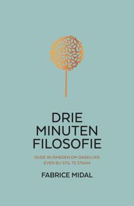Drie minuten filosofie - Fabrice Midal - ebook
