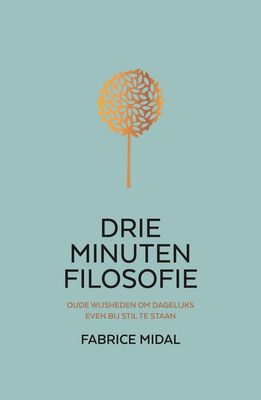 Drie minuten filosofie - Fabrice Midal - ebook