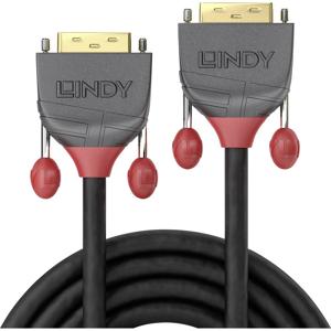 LINDY 36242 DVI-kabel DVI Aansluitkabel DVI-D 18+1-polige stekker, DVI-D 18+1-polige stekker 20.00 m Zwart