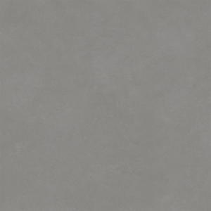 Bien Concept Vloertegel En Wandtegel Grey 60X60 Mat Grijs