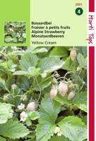Aardbeien Yellow Cream - Hortitops