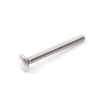 Proftec slotbout [25x] - RVS-A2 - M6x80mm