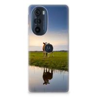 Motorola Edge 30 Pro | TPU Hoesje | Koe