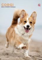 Welsh Corgi A3 Kalender 2026
