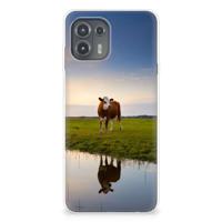 Motorola Edge 20 Lite | TPU Hoesje | Koe