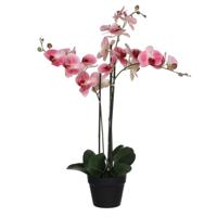 Kunstplant mica phalaenopsis orchidee roze | 2 stuks