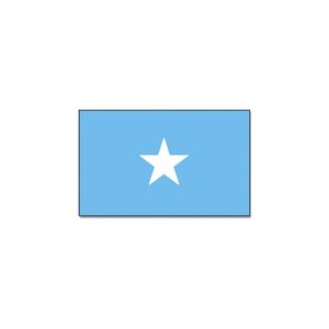 Vlag Somalie 90 x 150 cm feestartikelen