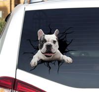 Autosticker hond door glas