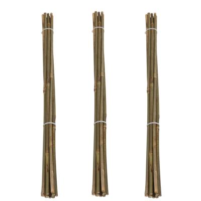 Pro Garden Plantenstokken - 30x - bamboe - H60 cm - plantensteun - bamboestokken/tonkinstokken