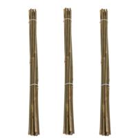 Pro Garden Plantenstokken - 30x - bamboe - H60 cm - plantensteun - bamboestokken/tonkinstokken