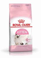 Royal Canin FHN Kitten - droog kittenvoer - 4kg