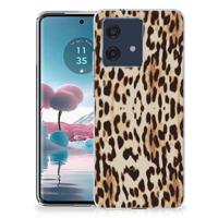 Motorola Edge 40 Neo | TPU Hoesje | Leopard