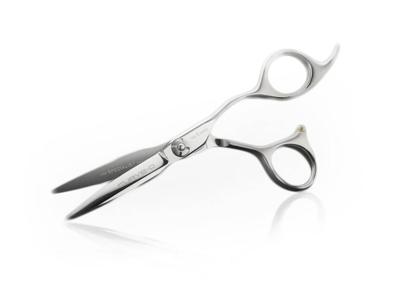 Curve-O Knipschaar Scissors The Specialist 550 Right-Handed Scissors