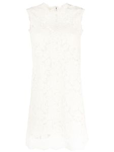 Dolce & Gabbana sleeveless lace minidress - Tons neutres