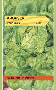 Kropsla