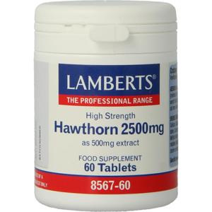 Lamberts Crataegus 2500mg (hawthorn)