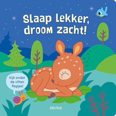 Slaap lekker, droom zacht! (Hardback)