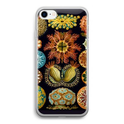 Haeckel Ascidiae: iPhone SE 2020 Transparant Hoesje