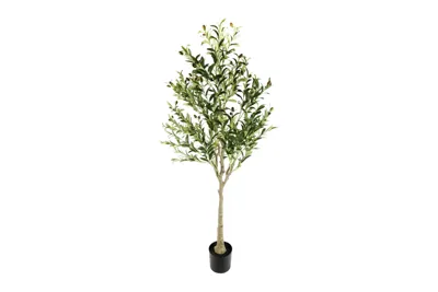 Olea XL groen