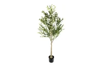 Olea XL groen