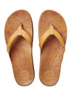 Reef Slippers Cushion Porto Cruz CJ2814 Bruin-38 maat 38