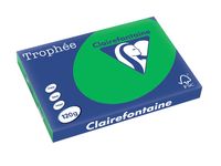 Clairefontaine Trophée Intens, gekleurd papier, A3, 120 g, 250 vel, bijartgroen - thumbnail