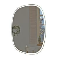 Arcqua Loft Spiegel - 65x80cm - ovaal - verticaal - front LED SPI998211