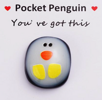 Kleine Pocket Pinguïn Wenskaart - You've Got This - Spiritueel - Spiritueelboek.nl