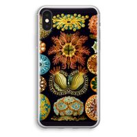 Haeckel Ascidiae: iPhone XS Transparant Hoesje