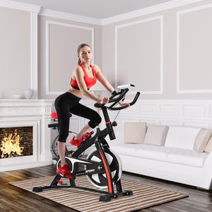 FitBike Ride Hometrainer 10kg Vliegwiel Verstelbare Fitness Bike Indoor Fiets Sportfiets Zwart en Rood