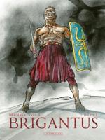 De Pict (Hardback)