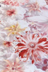 Moooi Carpets - Laagpolig Vloerkleed Flowergarden Rectangle Day Soft Yarn - 200x300 cm