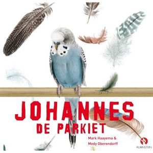 Johannes de Parkiet