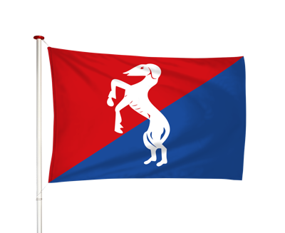 Vlag Oosternijkerk - Easternijtsjerk (fr)