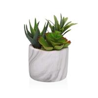Decoratieve plant Versa Keramisch Plastic Fusion Vetplant 9 x 15 x 9 cm