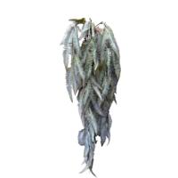 Roberts Collection Kunst hangplant varen bruin 110cm