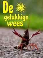 De gelukkige wees - Geertje Geerlings - ebook